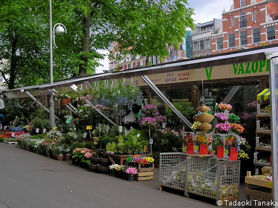 40.シンゲルの花市１